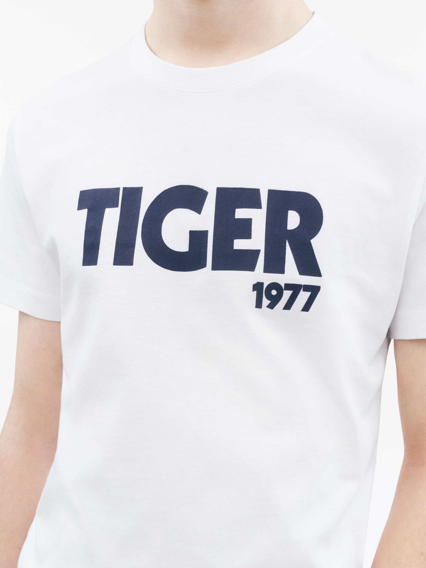 Tiger of Sweden T-Shirt Dillan